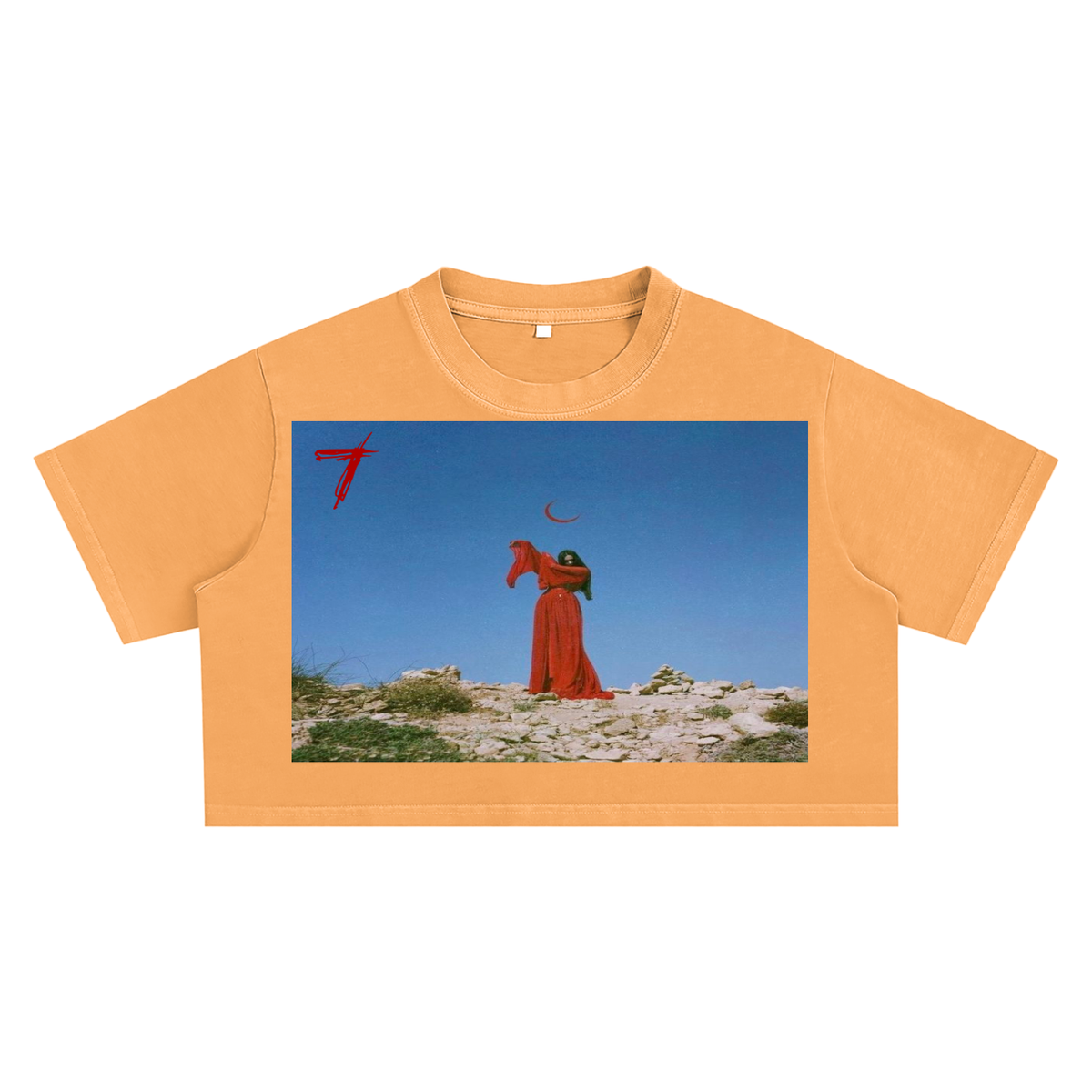 Feminine Energy Crop Top