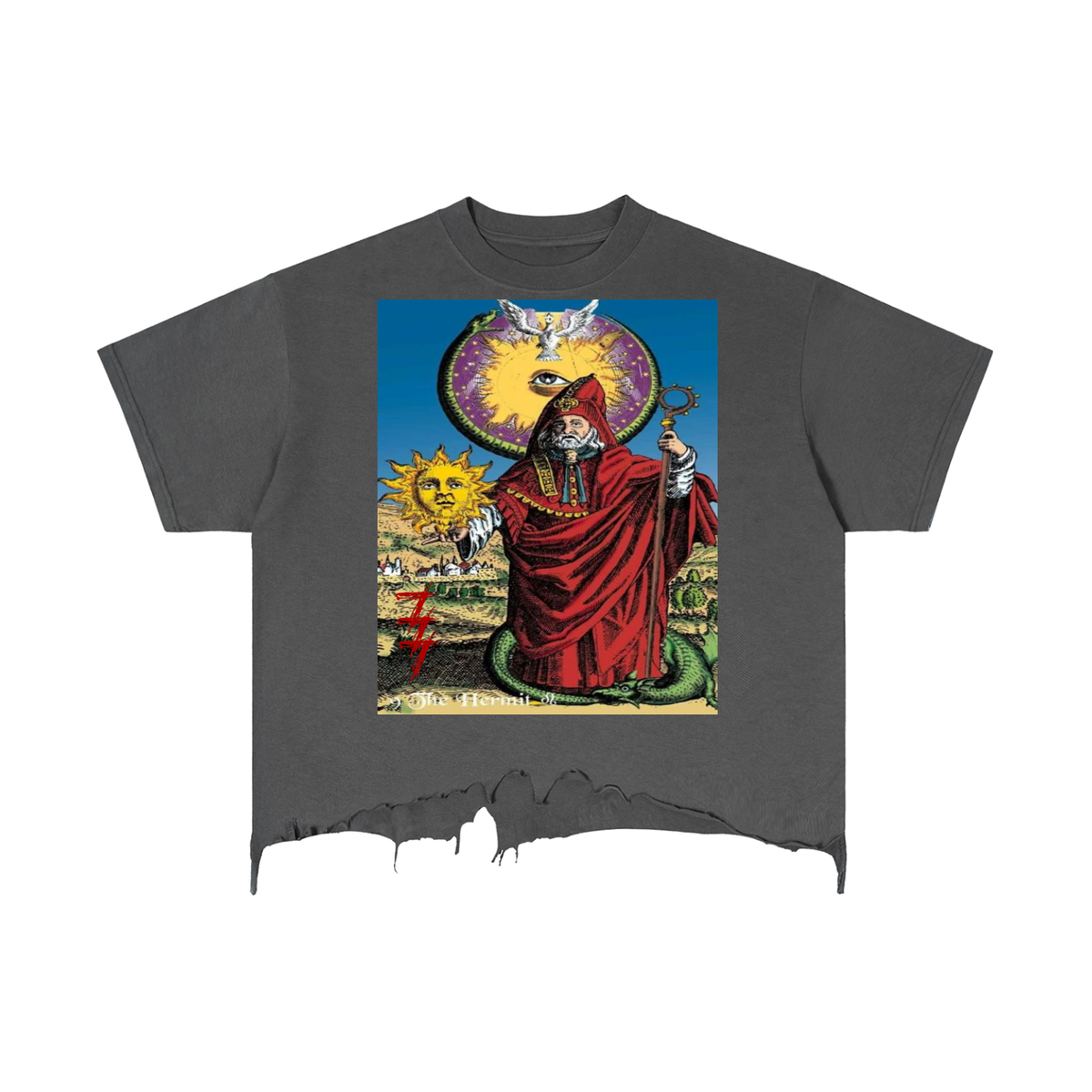 Hermit Distressed Hem T-Shirt