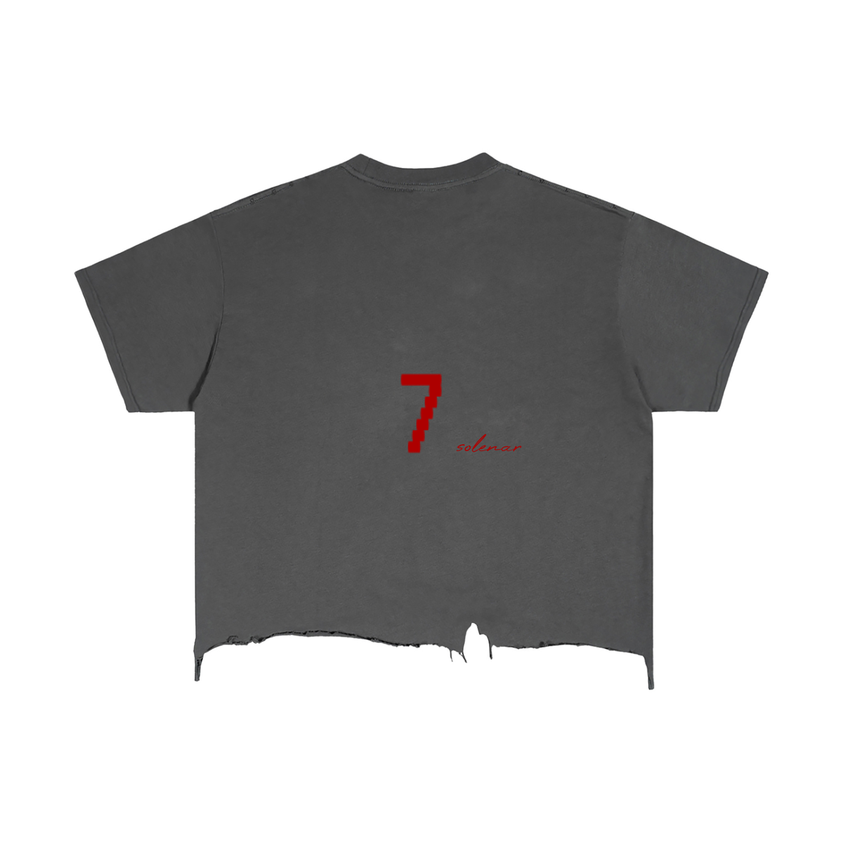 Vintage Wash Boxy Distressed Hem T-Shirt