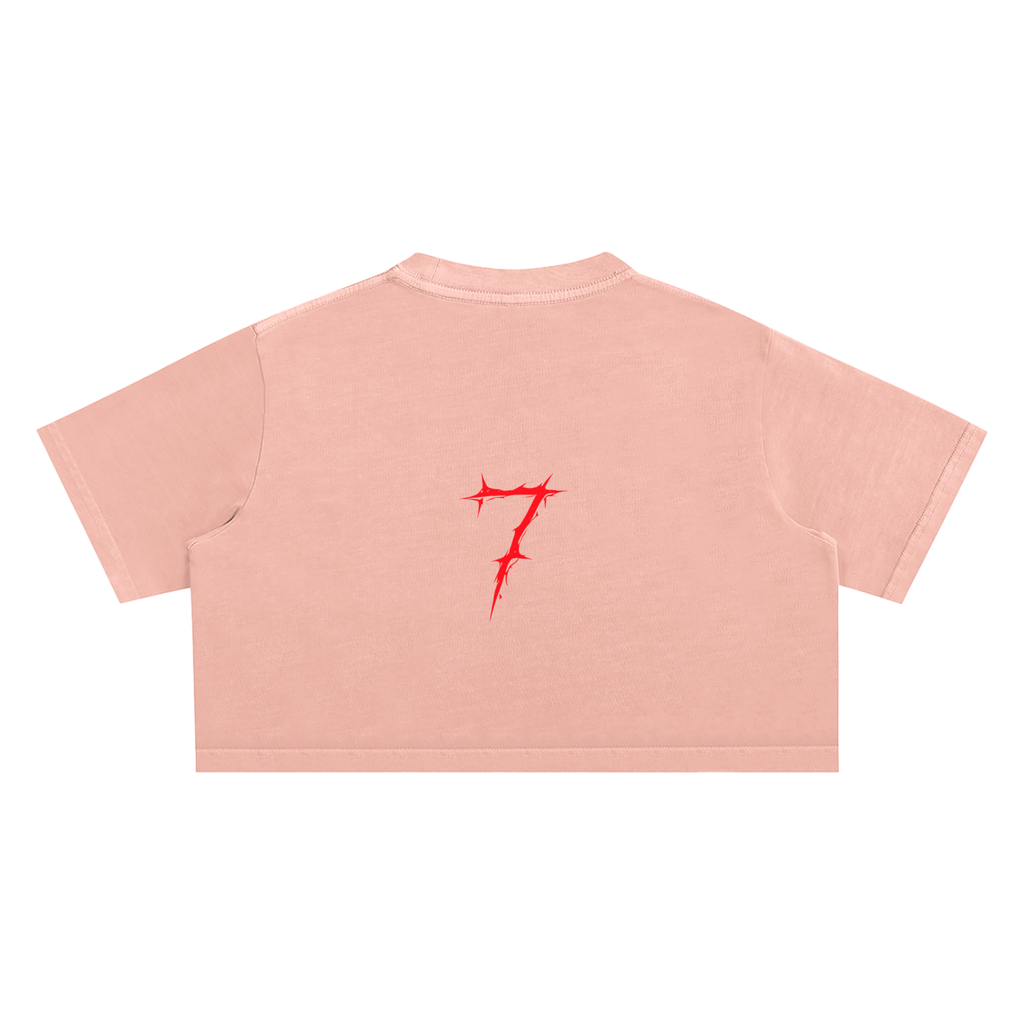 Snow Washed Crop Top