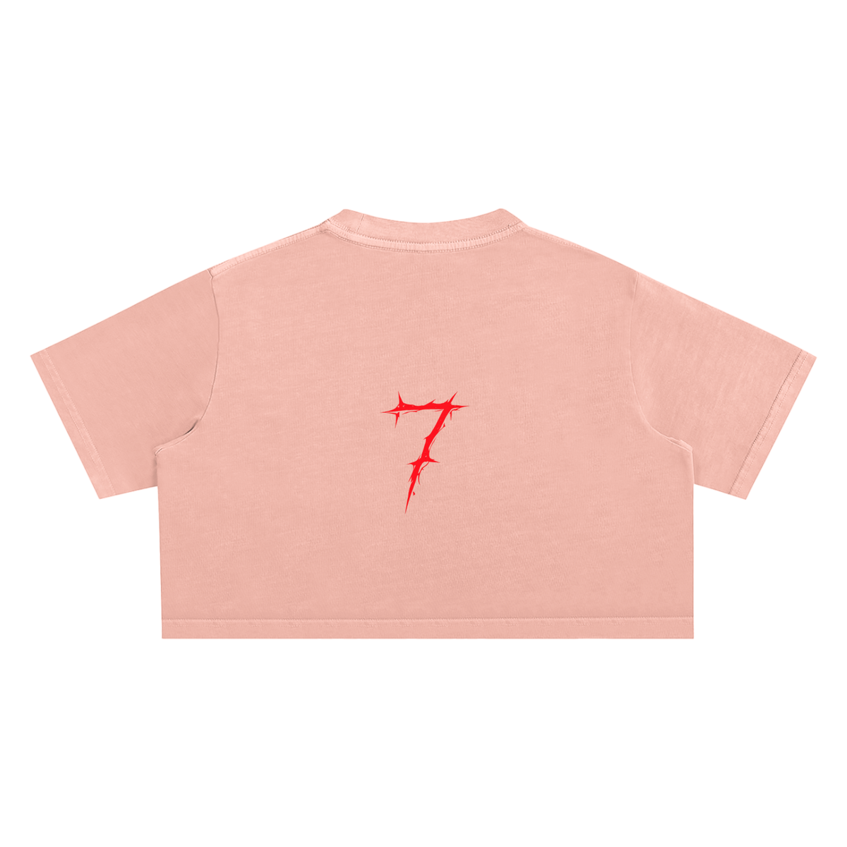 Snow Washed Crop Top