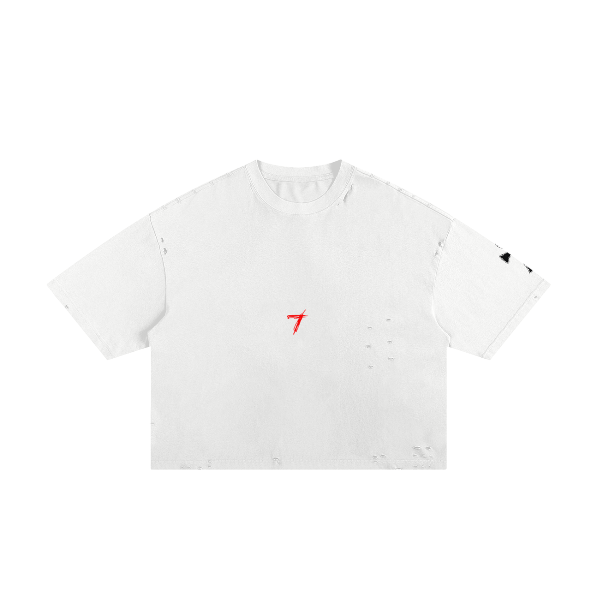 Classic Frayed Boxy Tee