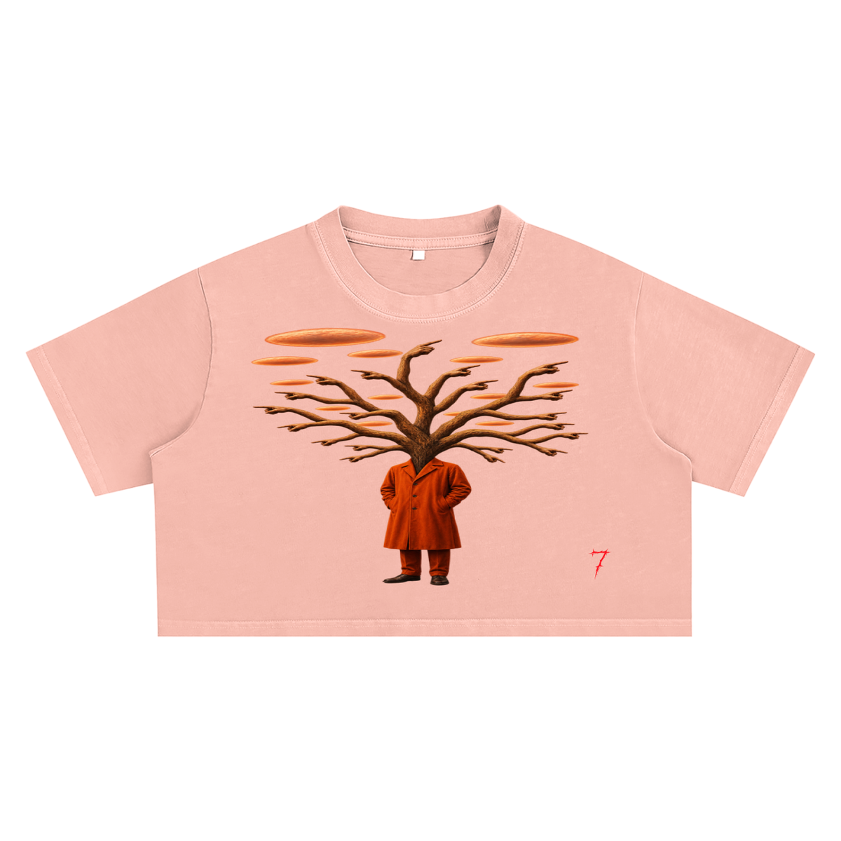 Snow Washed Crop Top